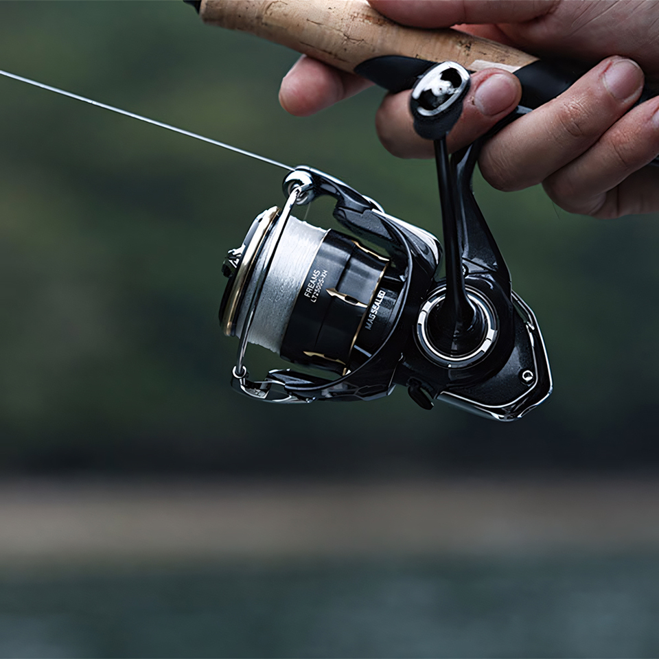 DAIWA 2026 FREAMS Spinning Ree - Daiwa Reel Bg review and price