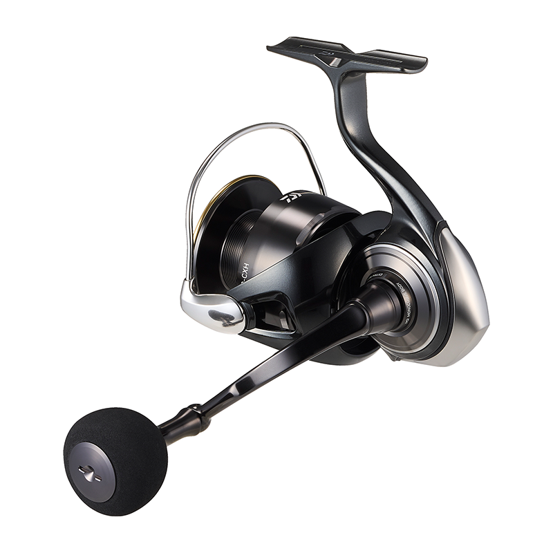 DAIWA 2026 Certate HD Fishing  - Daiwa Reel Bg review and price